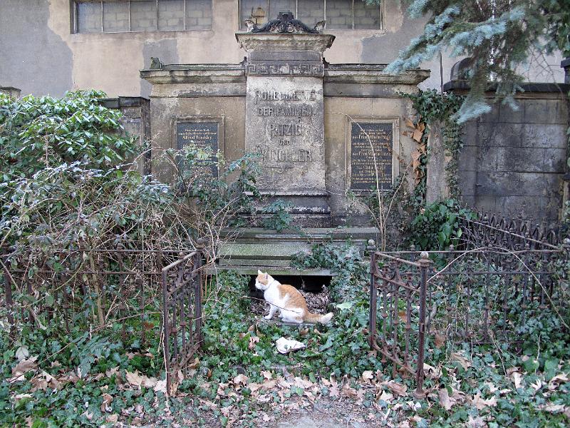 Neust.Friedhof (63).JPG